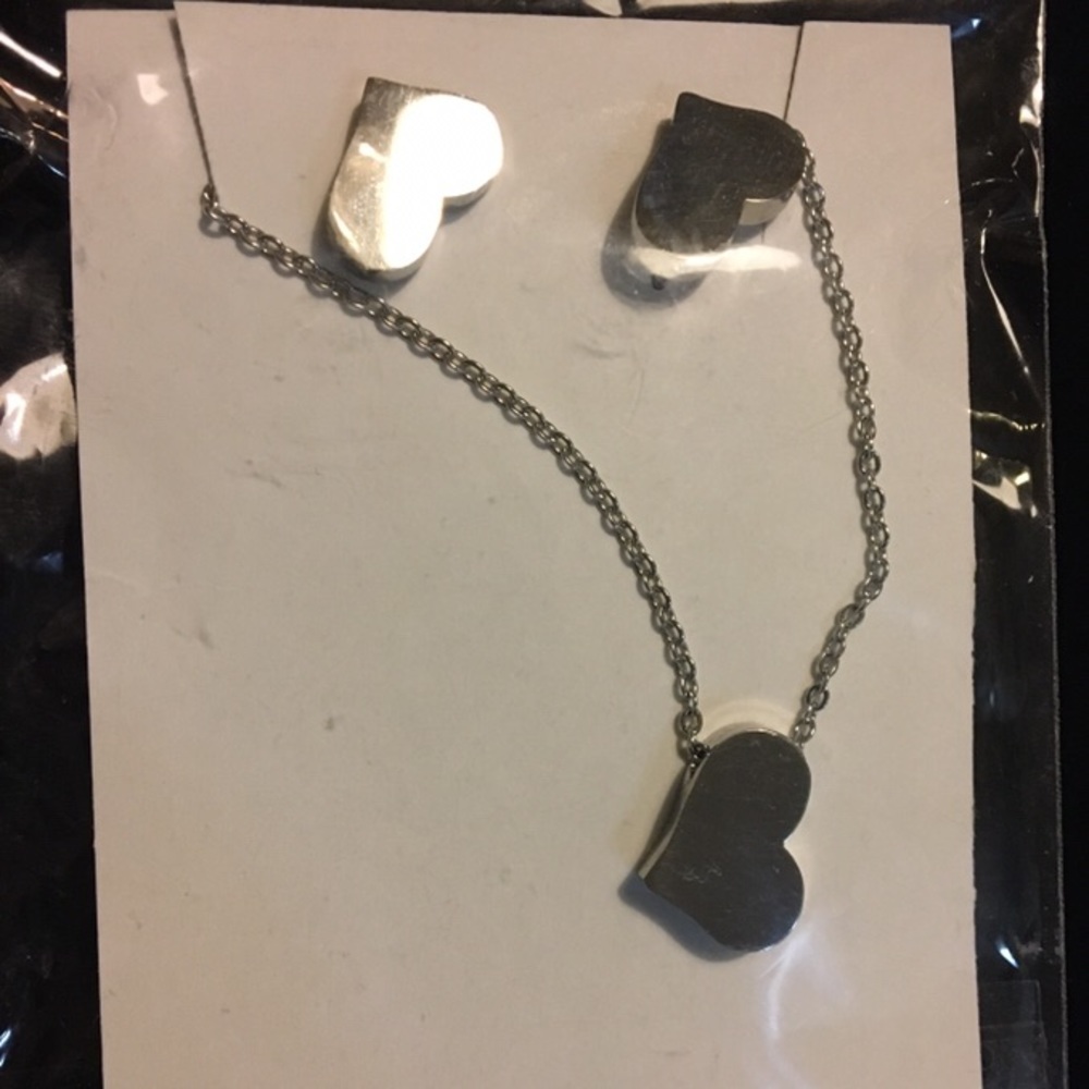 Stainless steel earrings and pendant